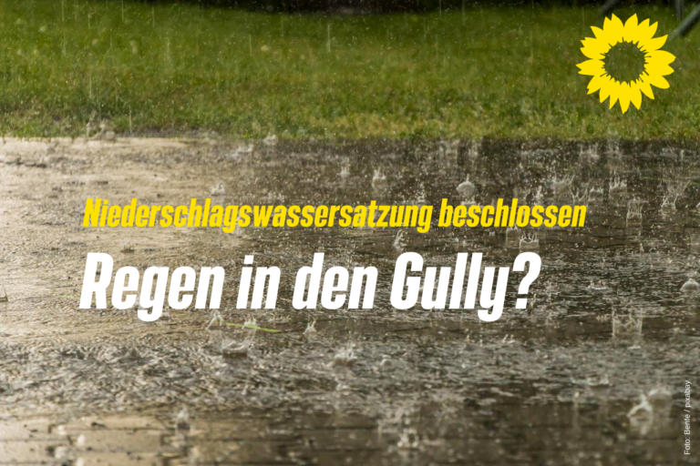 Pressemitteilung: Zukunft Schwammstadt: Lebenselixier Regen in den Gully?