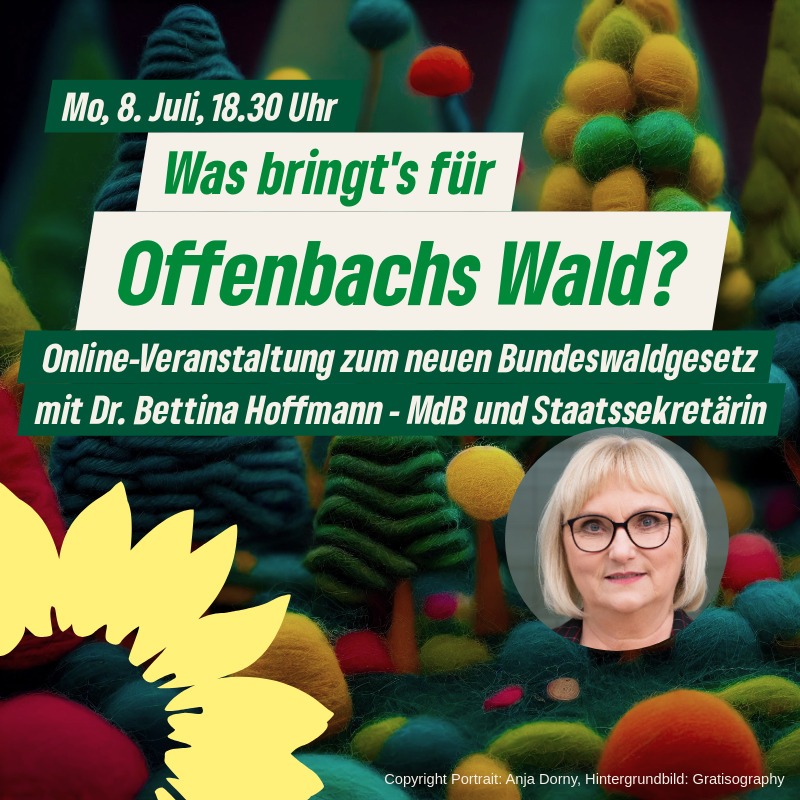 Sharepic Veranstaltung "Was bringt's für Offenbachs Wald?" mit Dr. Bettina Hoffmann