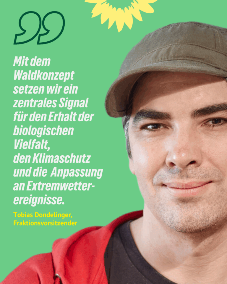 Neues Waldentwicklungskonzept für Offenbach