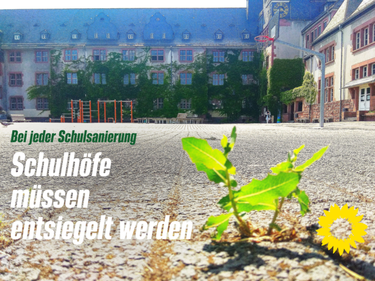 Klimaresiliente Umgestaltung von Schulhöfen