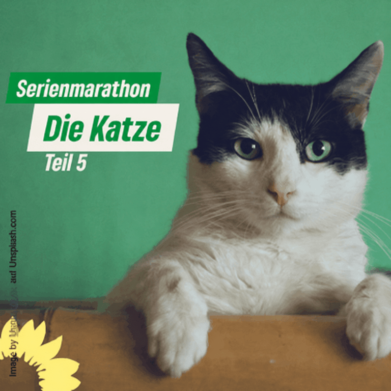 Katzenschutzverordnung einführen